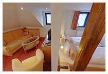 Hotel Schützenhof Kronberg: Room 15 - Panoramic view